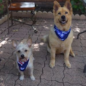 Meet your Posher, Melba